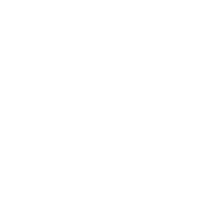 Engine Service Icon